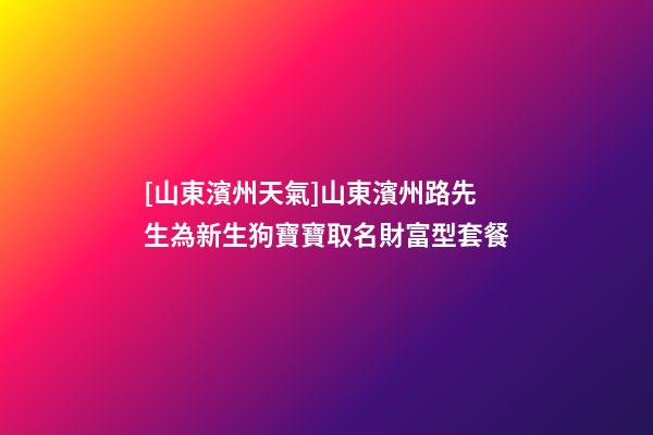 [山東濱州天氣]山東濱州路先生為新生狗寶寶取名財富型套餐-第1張-公司起名-玄機派